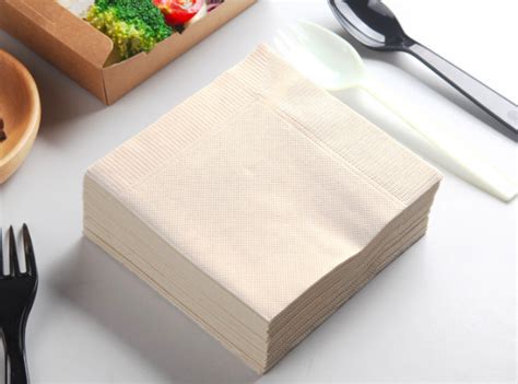 Are Paper Napkins Compostable? And Why Do They Always Disappear at Barbecues?