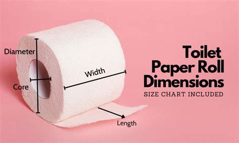 How Long is a Toilet Paper Roll and Why Does It Matter in the Age of Digital Transformation?