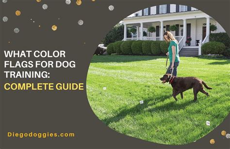 What Color Flags for Dog Training: A Spectrum of Signals and Strategies