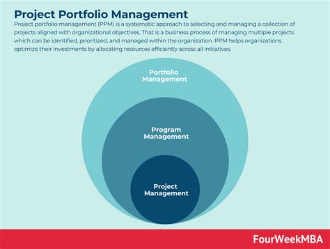 What problems can occur with a project portfolio management system, and how can a purple elephant influence its success?